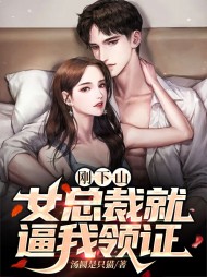 秦安林语桐