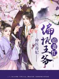 风初颜夜寒琛