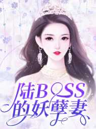 陆衍臻盛绯绯