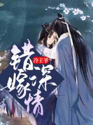 凤锦瑟萧华年