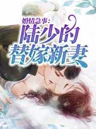 顾云汐陆琛