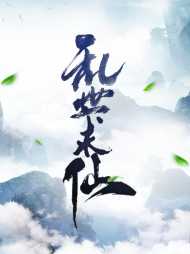 叶枫南小月