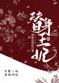 替身王妃云清厉轩