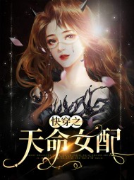 江子兮系统