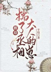 齐渊子书珏