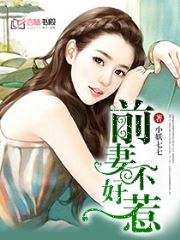 前妻难惹