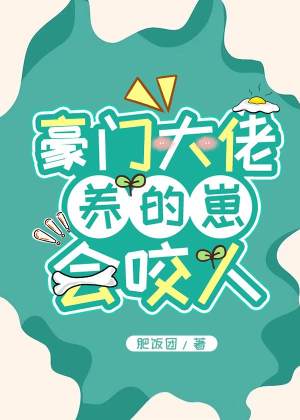 江离陆时琛