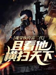 男主角萧夜的