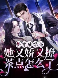 主角沈昭昭