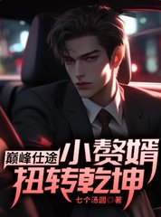 巅峰仕途小赘婿扭转乾坤