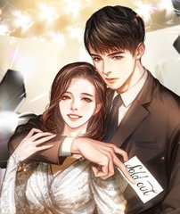 主人公叶天明