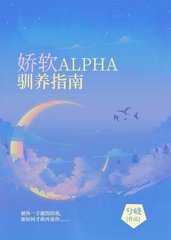 娇软ALPHA驯养指南(兮峣)