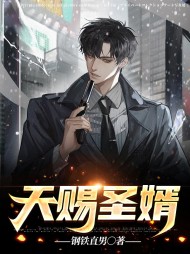 天赐圣婿易辰华梦宁