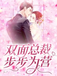 顾念夜洛寒