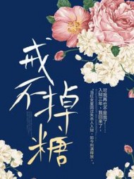 戒不掉糖宋琦顾莳