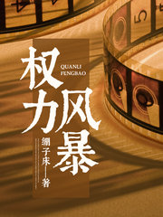 权力风暴阅读