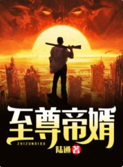 至尊帝婿秦风林允儿完整版