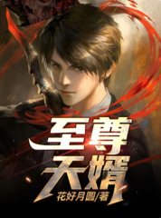 至尊天婿叶凌霄苏婉晴