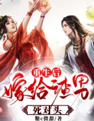苏伊伊秦墨枫