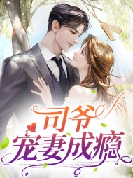 顾乔烟司珩琛