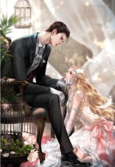 绝世豪婿