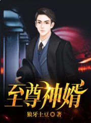 至尊神婿叶昊郑漫儿