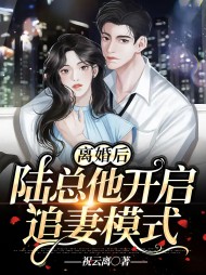 离婚后陆总他开启追妻模式