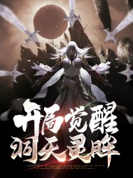 陆枫何雨晴开局觉醒洞天灵眸