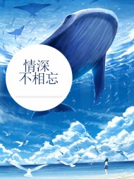 情深不相忘夏遇贺铭恩