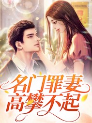 名门罪妻高攀不起乔婉霍霆琛