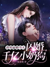 陆轻顾迟司