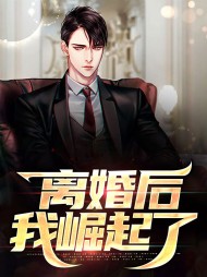 离婚后我崛起了叶枫林婉如