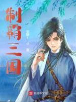 陆彦曹操