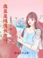 叶玄诸葛月月