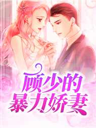 夏落顾寒风