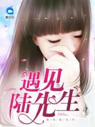 苏韵陆清城