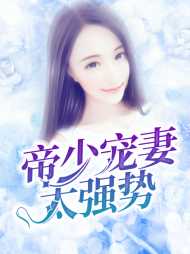 沈念顾琛