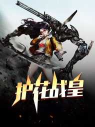 叶麟苏星辰