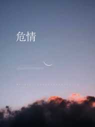 江千晚顾彦辰
