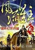 夜七雪枫
