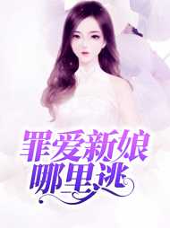 顾兮辞陆聿臻