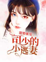 宋觅夏司北爵