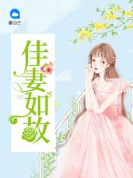 顾晚晴容十