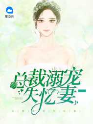 楚盈汐赫连夜