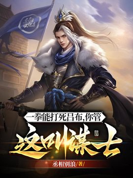 王骁穿越三国当谋士的小说