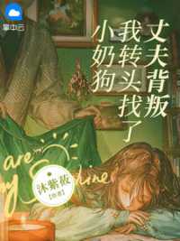 林婉如傅宴岑