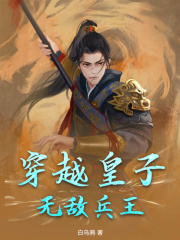 穿越皇子,无敌兵王阅读