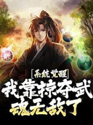系统觉醒我靠掠夺武魂无敌了宁越