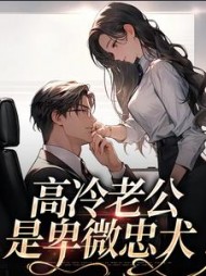 高冷老公是卑微忠犬辛甜