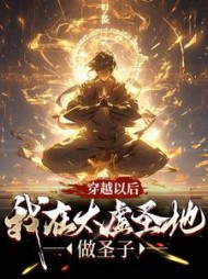 穿越以后,我在太虚圣地做圣子